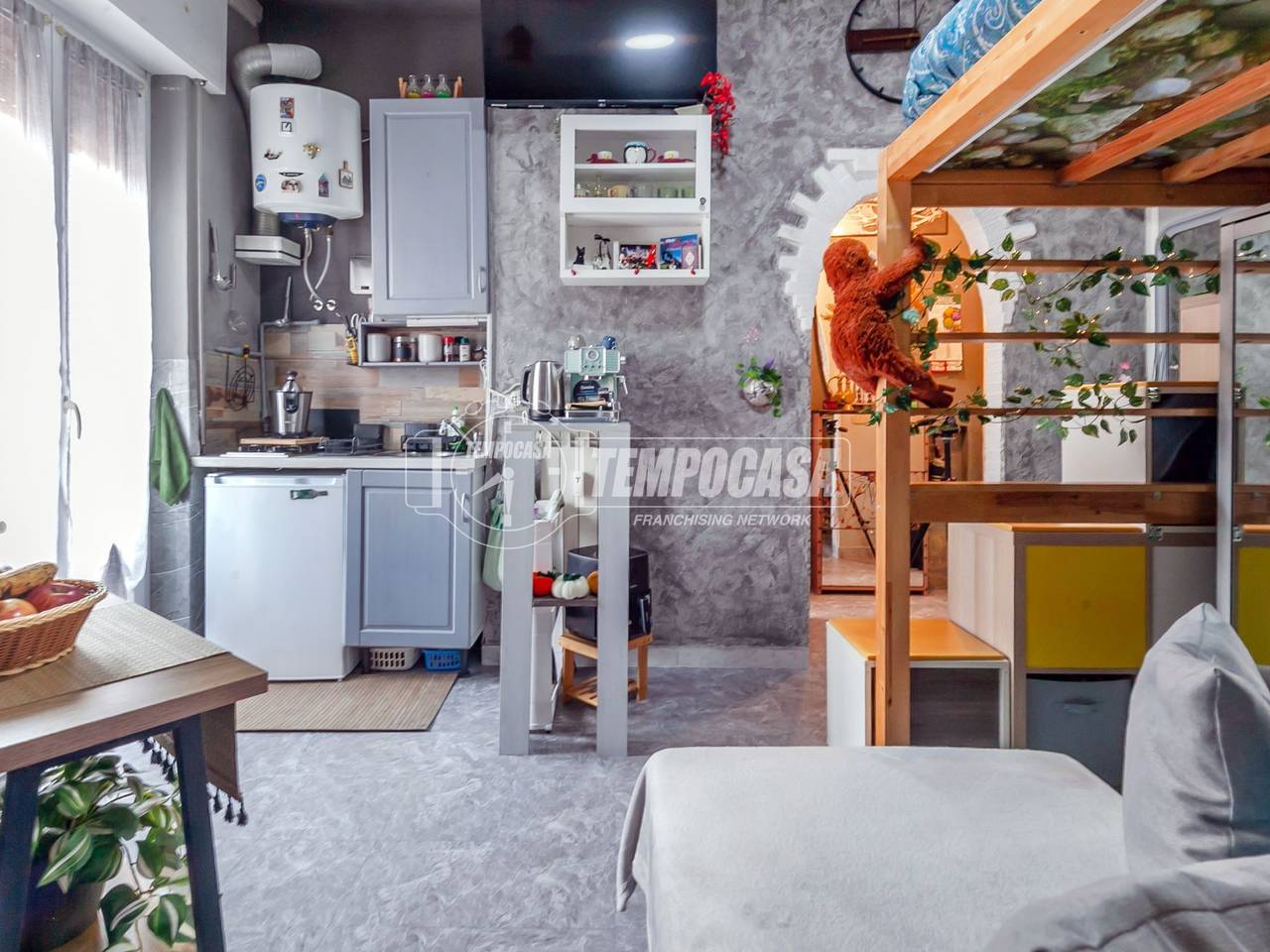 immagine annuncio 7 di 15