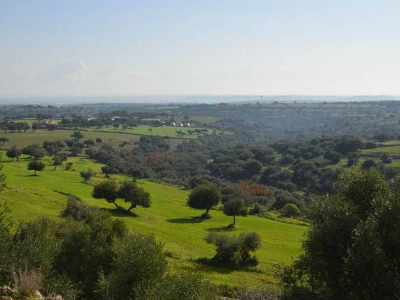 immagine annuncio 6 di 12