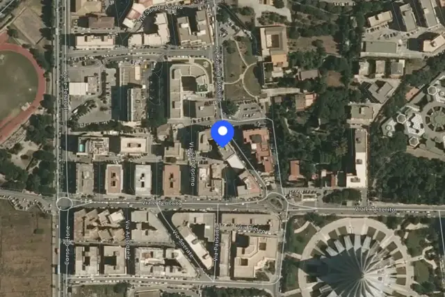 insertion image