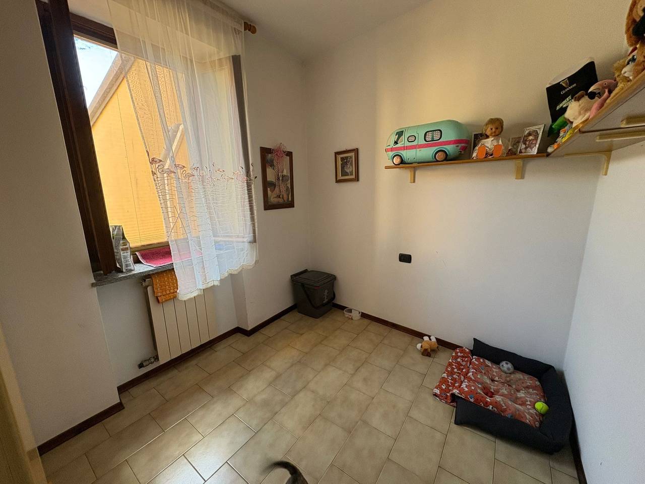immagine annuncio 6 di 9
