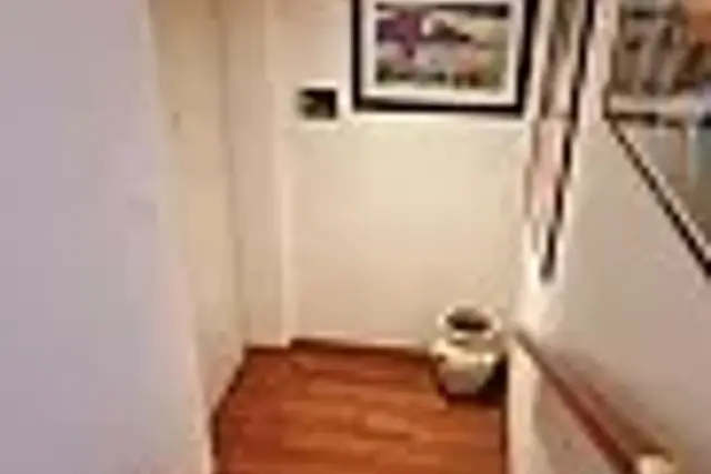 insertion image