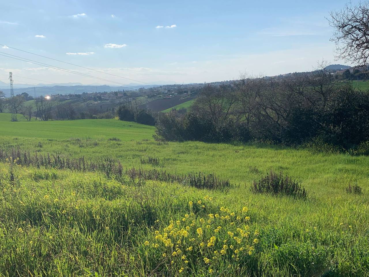 immagine annuncio 5 di 11