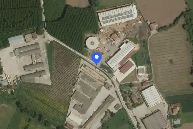 insertion image