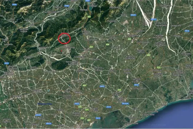 insertion image