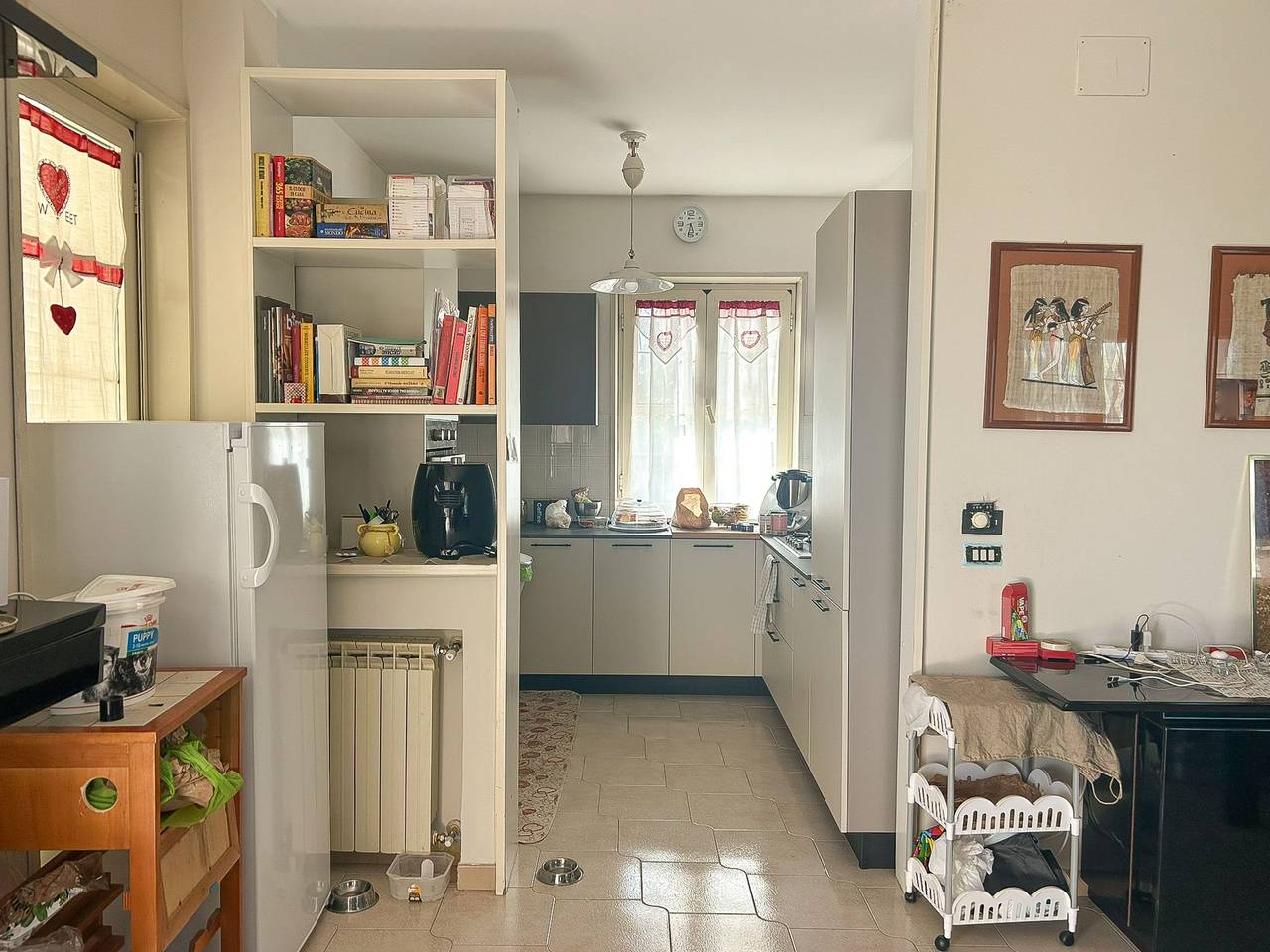 immagine annuncio 6 di 15