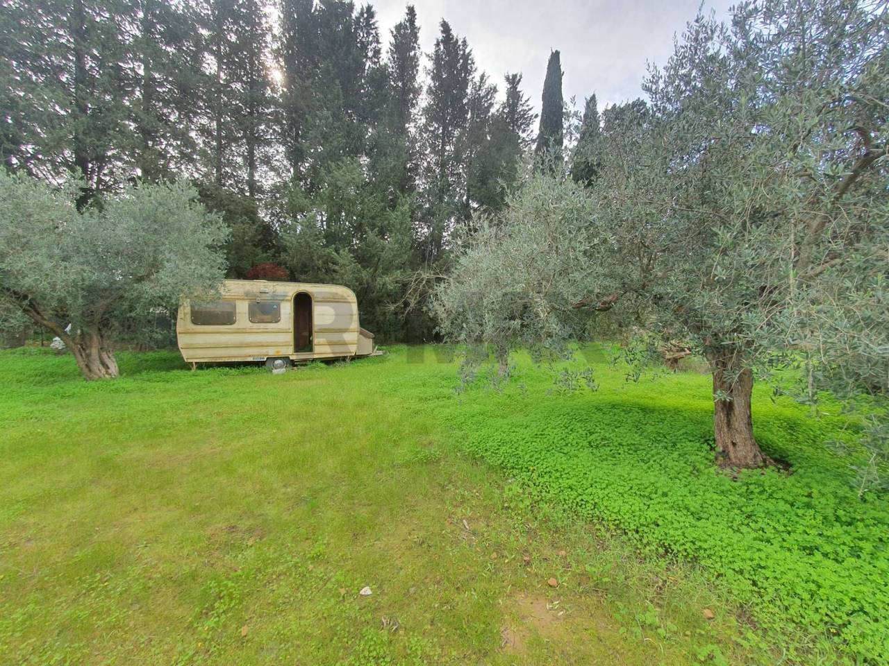 immagine annuncio 4 di 6