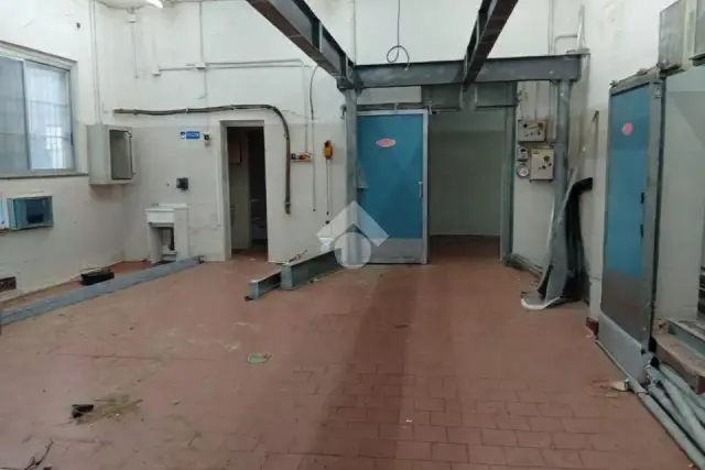 insertion image