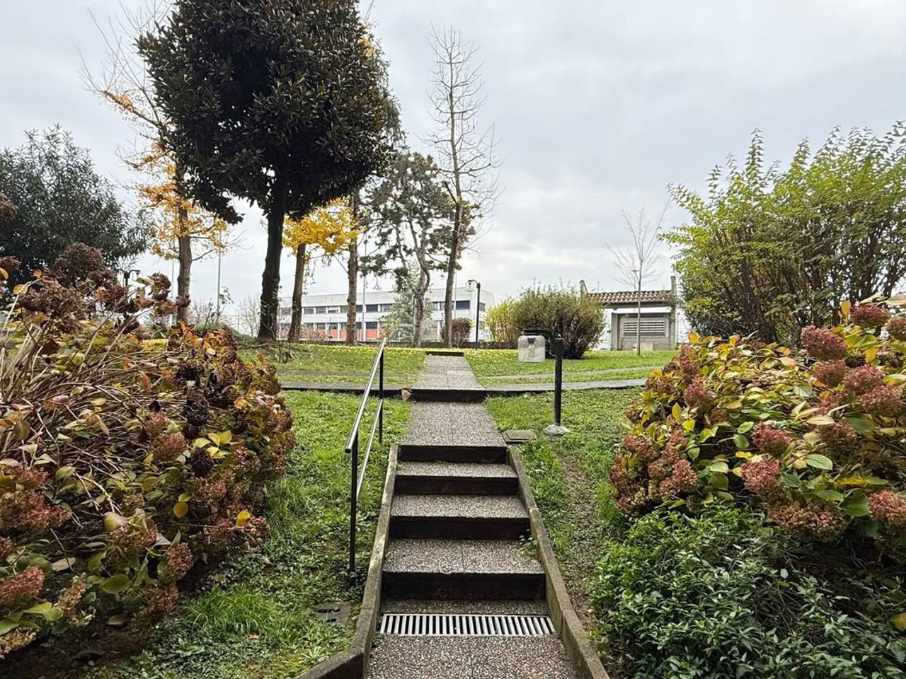 immagine annuncio 12 di 14