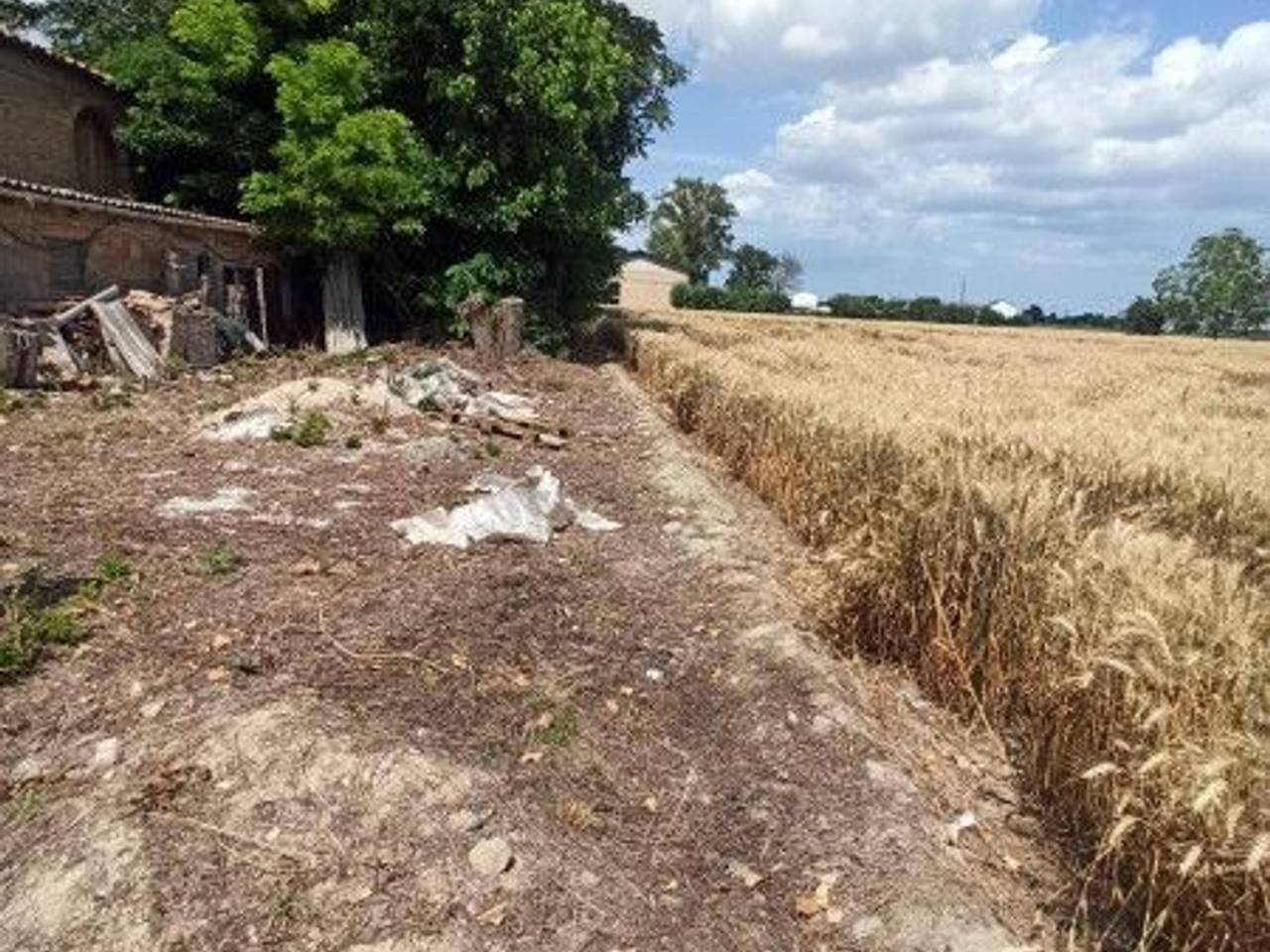 immagine annuncio 3 di 12