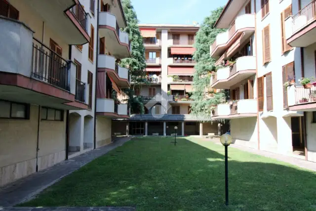 insertion image