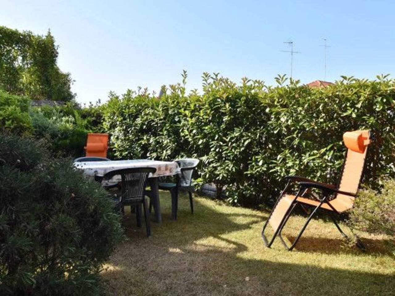 immagine annuncio 3 di 12