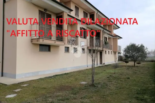 insertion image