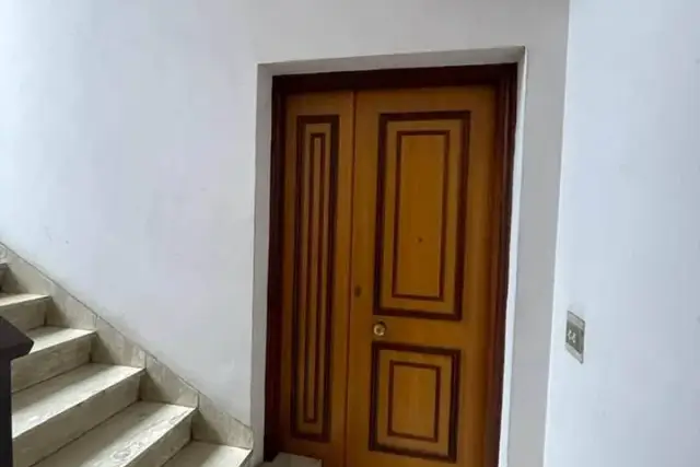 insertion image