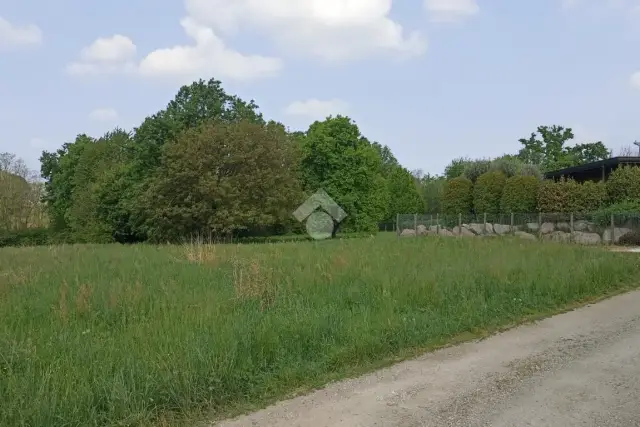 insertion image