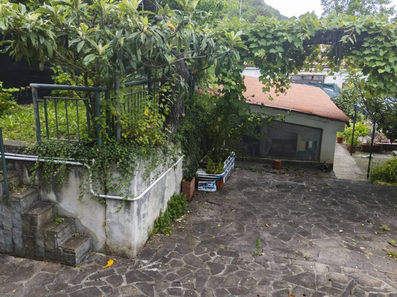 immagine annuncio 2 di 8