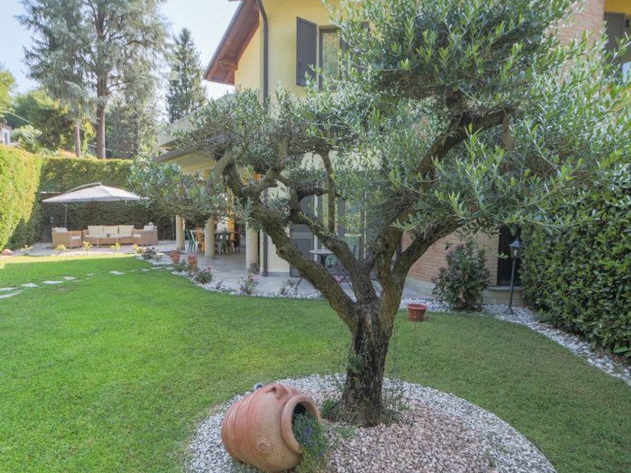 immagine annuncio 5 di 12
