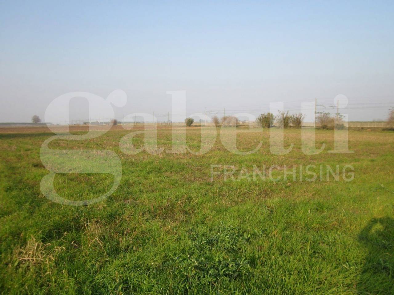 immagine annuncio 9 di 12