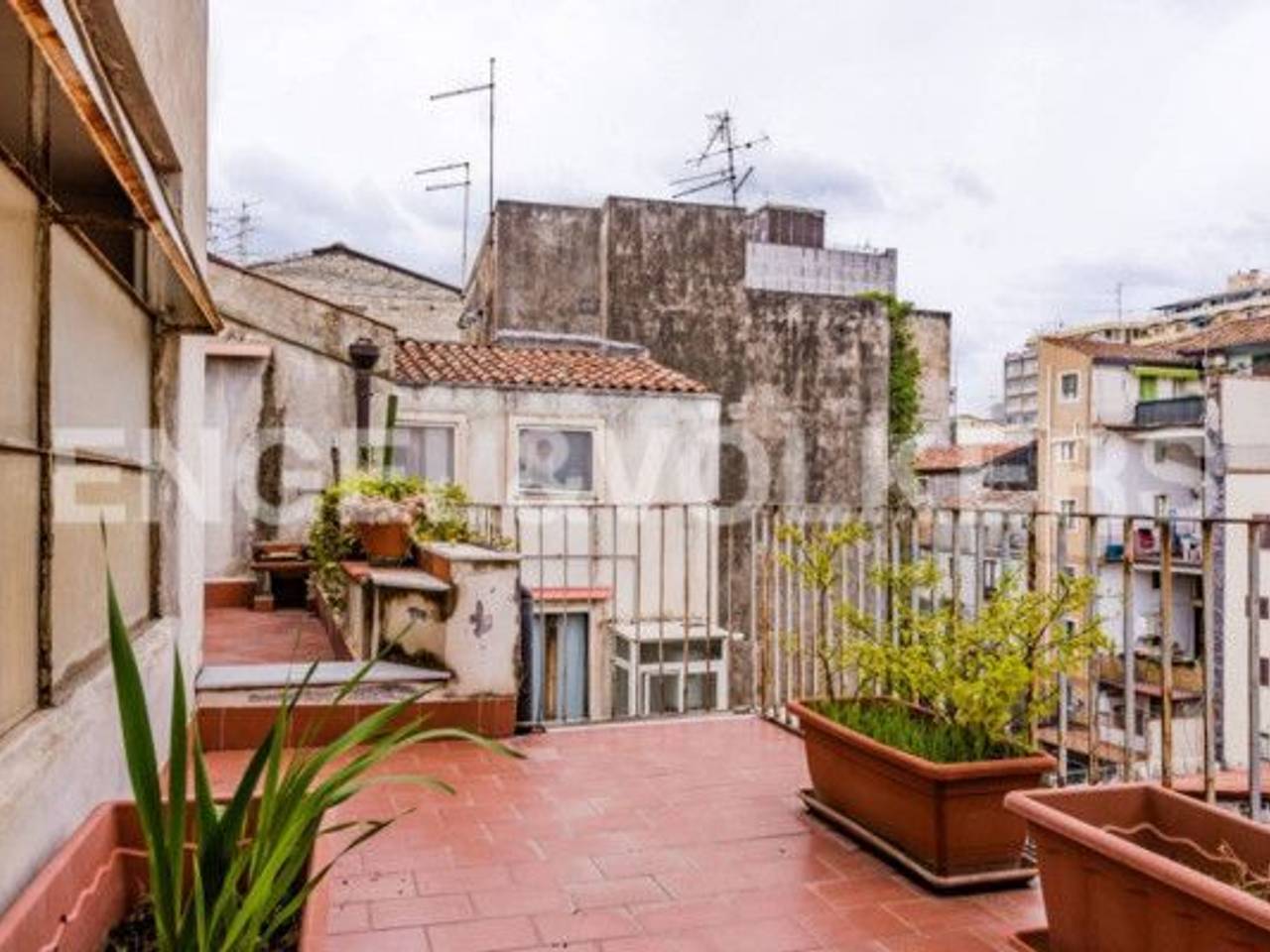 immagine annuncio 7 di 12