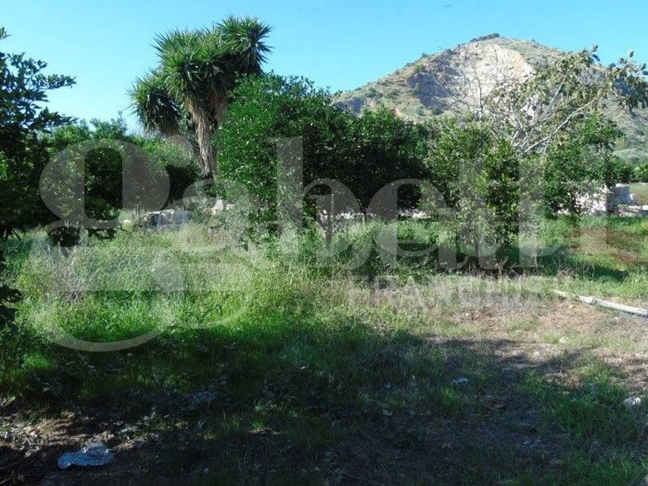 immagine annuncio 3 di 7