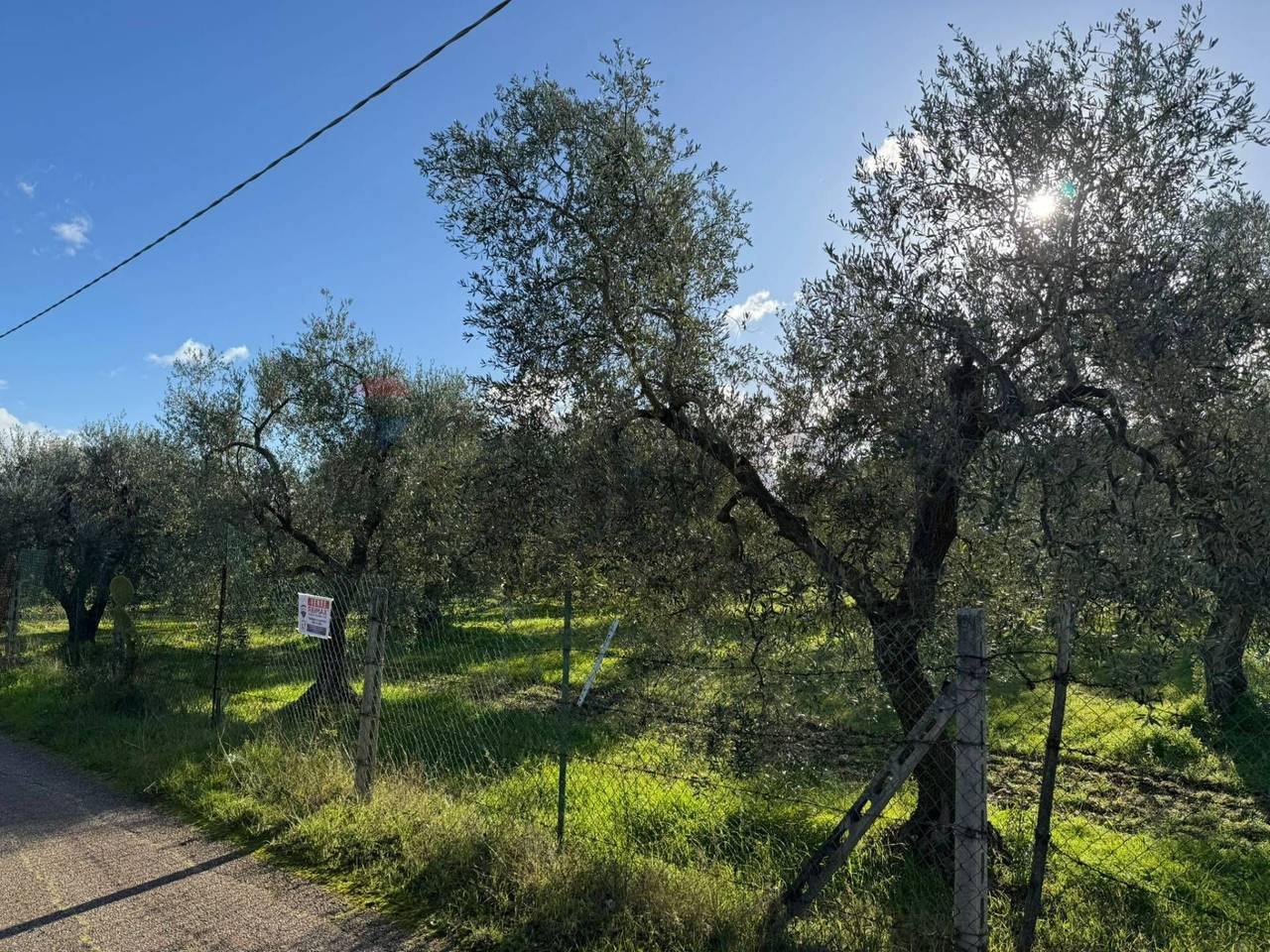 immagine annuncio 4 di 12