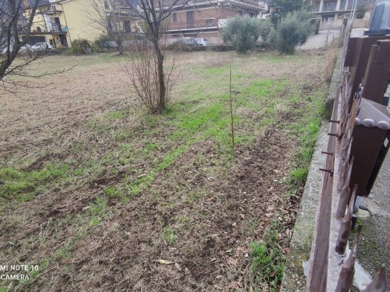 immagine annuncio 5 di 10
