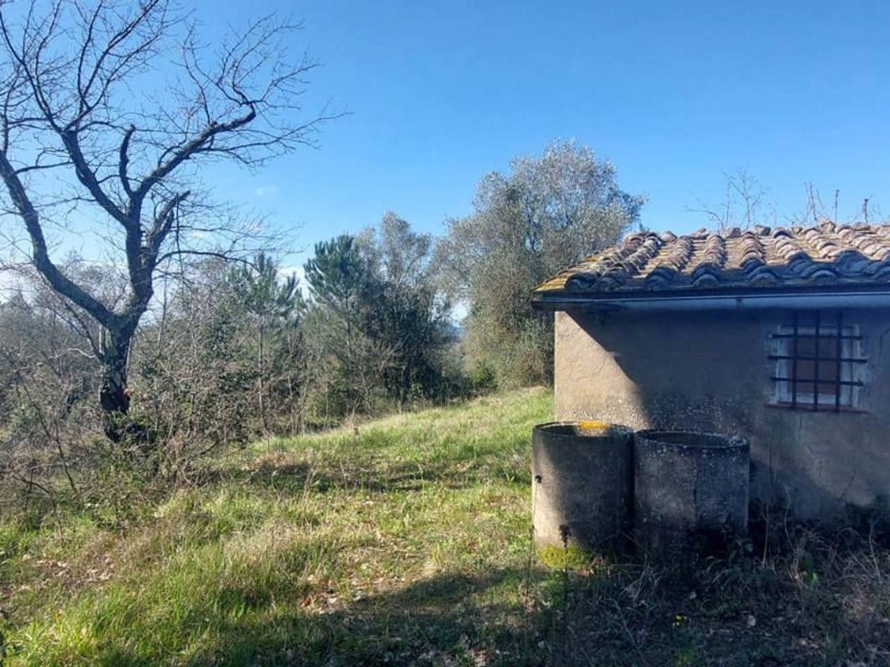 immagine annuncio 2 di 9