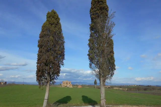 Rustico in Via di Torrita, Montepulciano - Foto 1