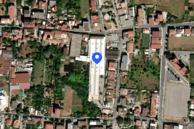 insertion image