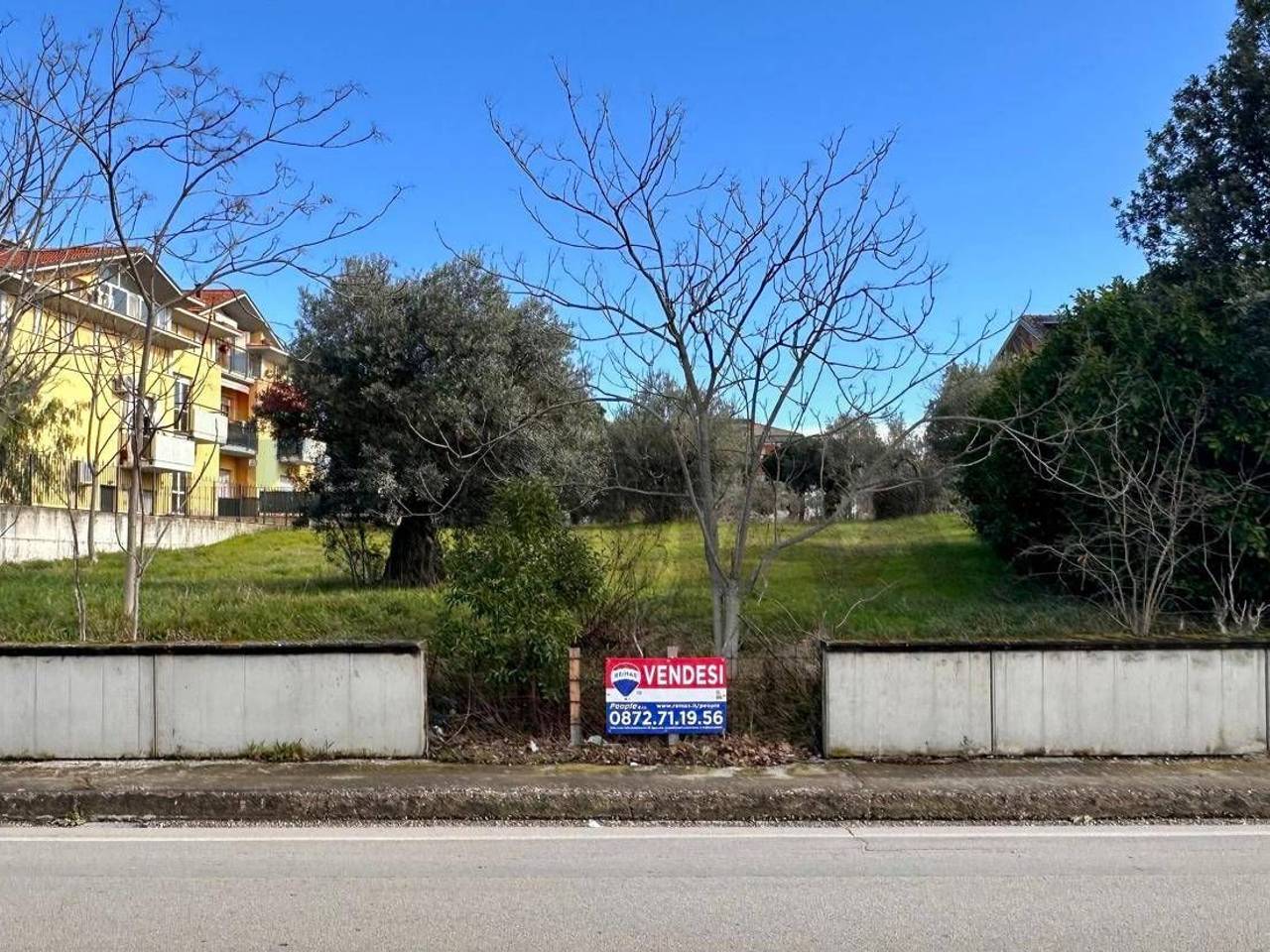 immagine annuncio 5 di 6