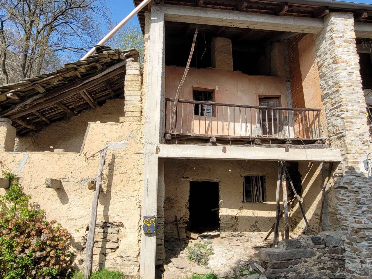 immagine annuncio 14 di 15