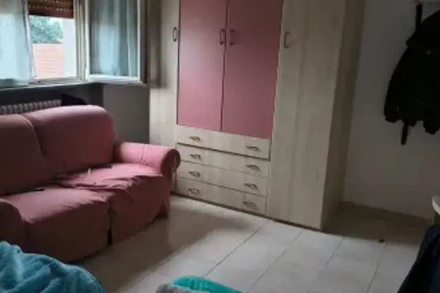 insertion image