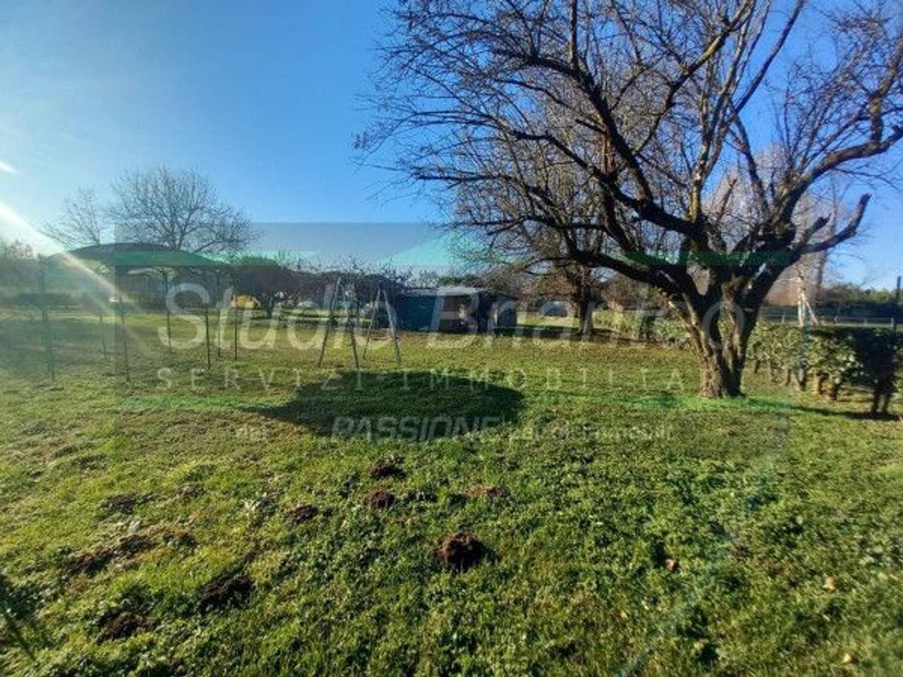 immagine annuncio 3 di 9