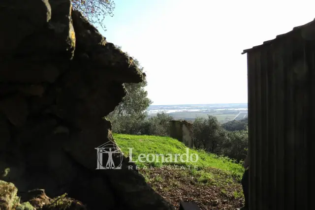 Country house or cottage in Via del Palazzetto 50, Massarosa - Photo 1