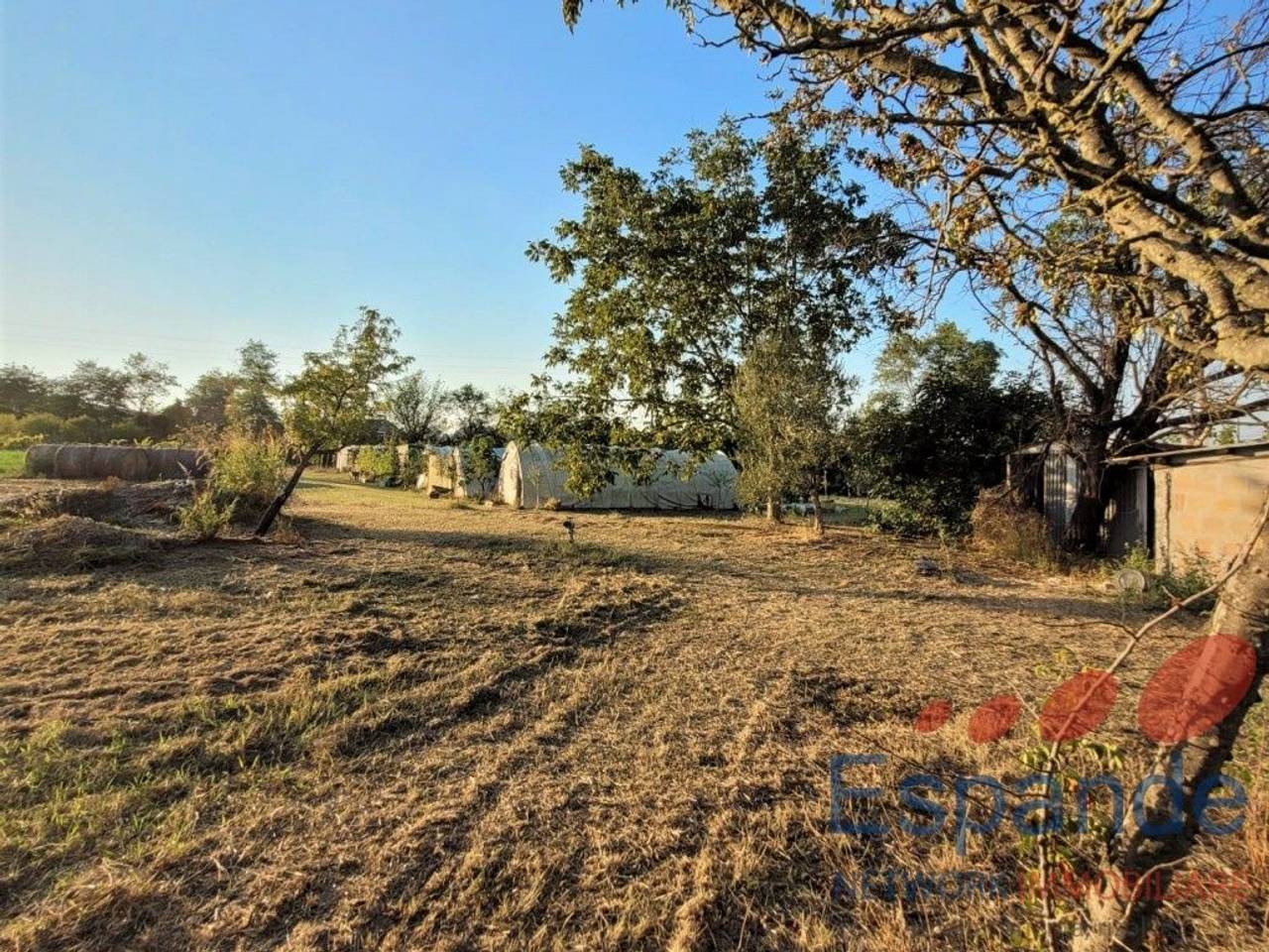 immagine annuncio 11 di 12