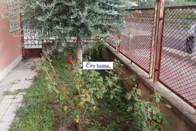 insertion image