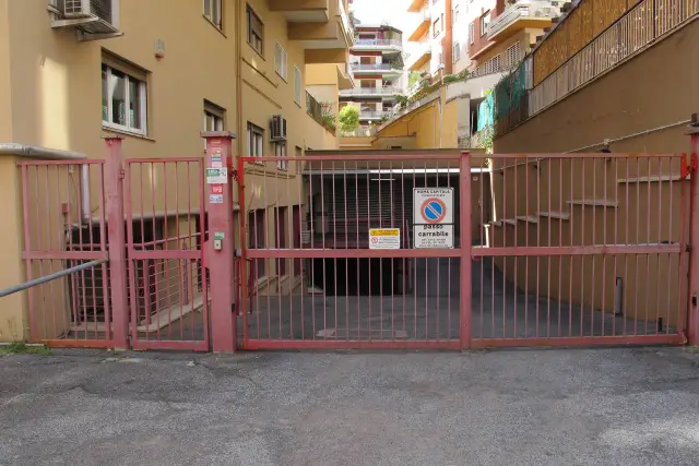 insertion image