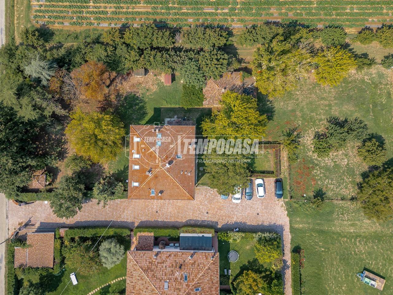 immagine annuncio 10 di 15