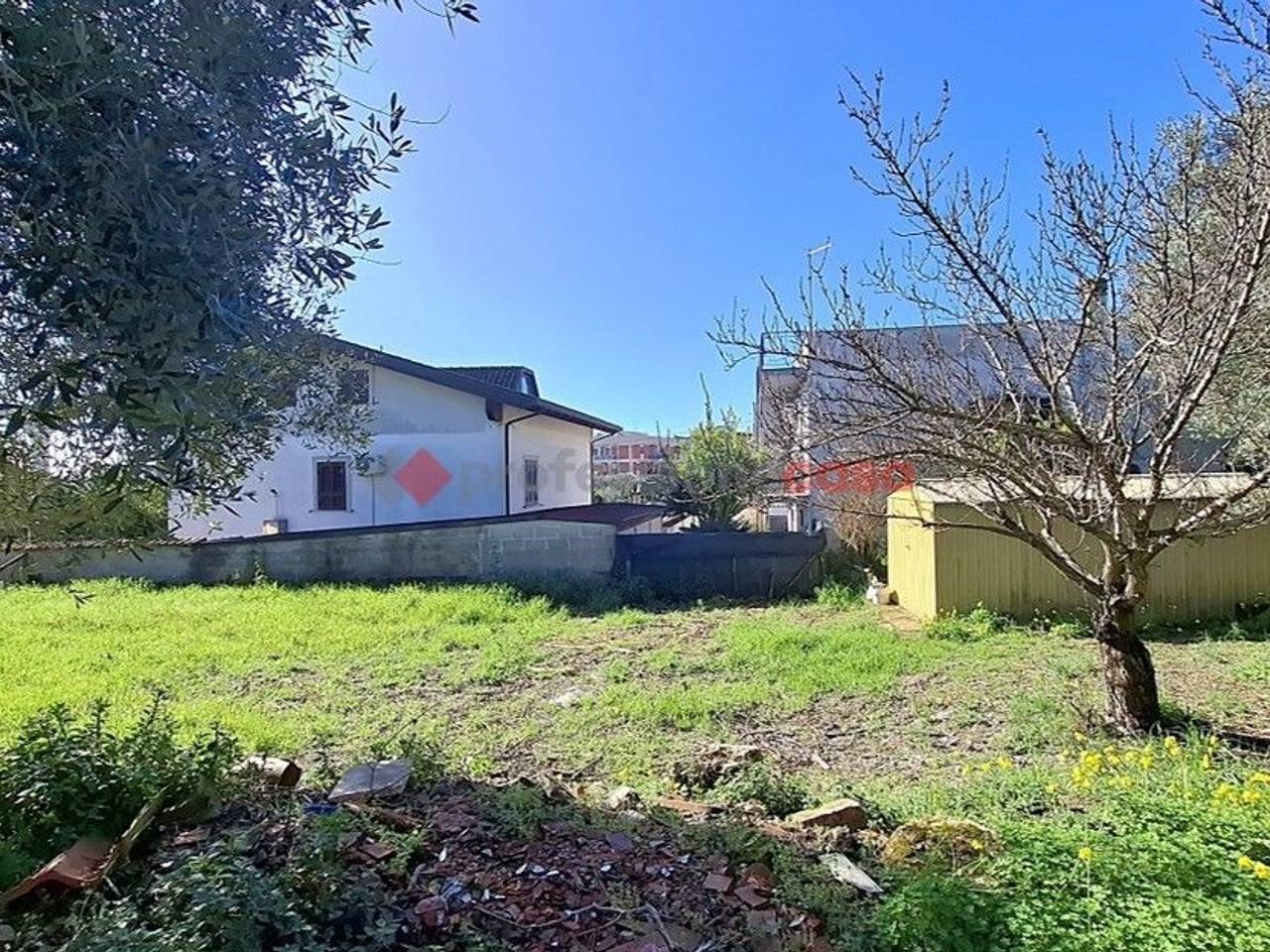 immagine annuncio 4 di 7