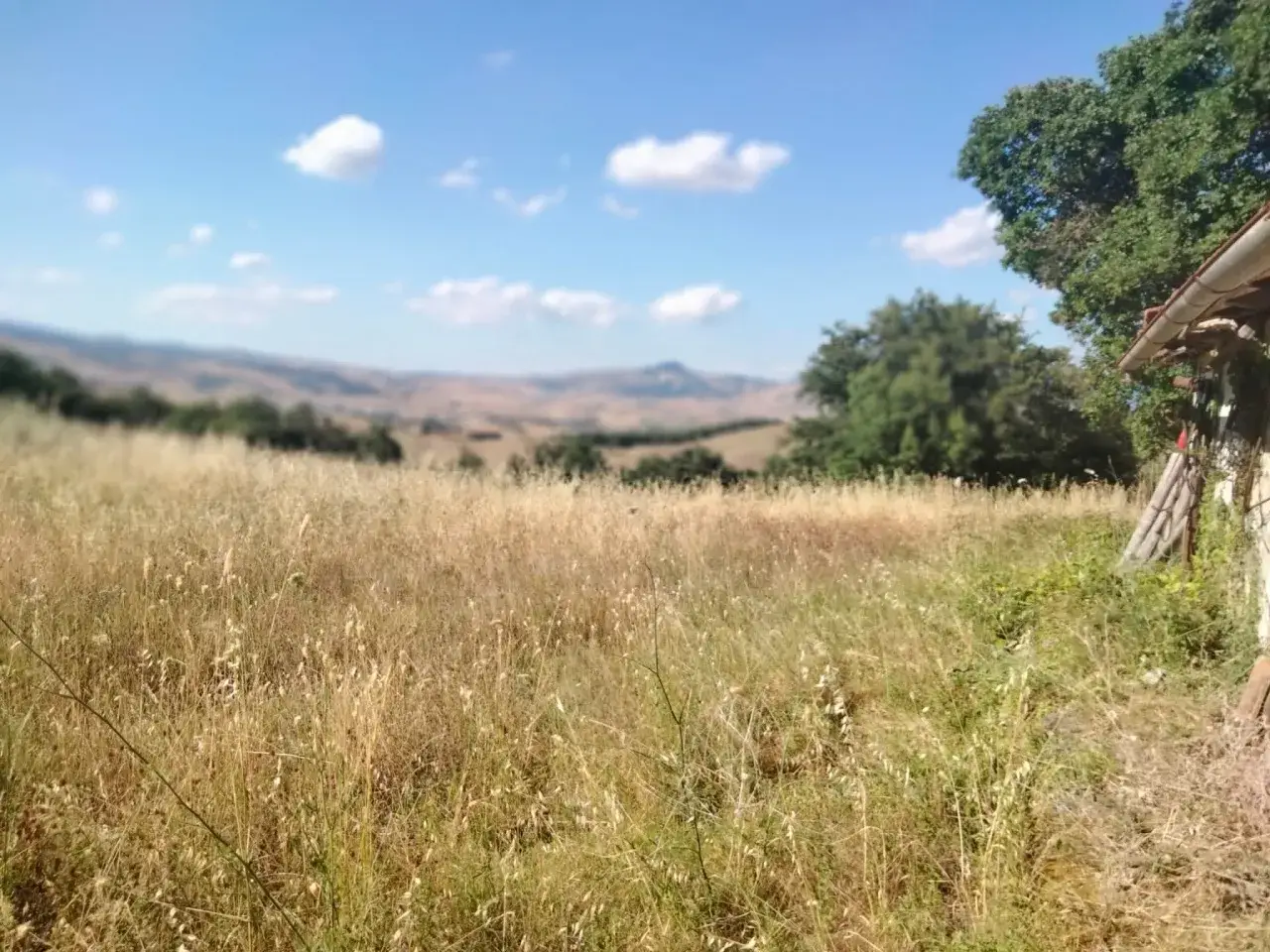 Azienda agricola in , Castell'Azzara, {3} - Foto 2