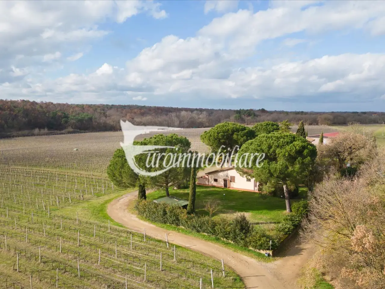 Azienda agricola in Via Castagni, Castiglione Del Lago, {3} - Foto 2