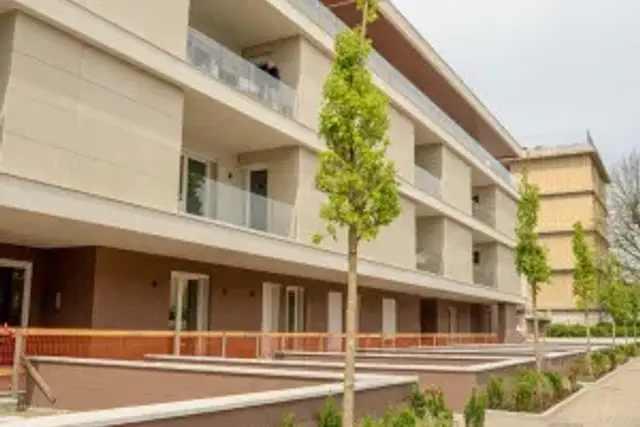insertion image