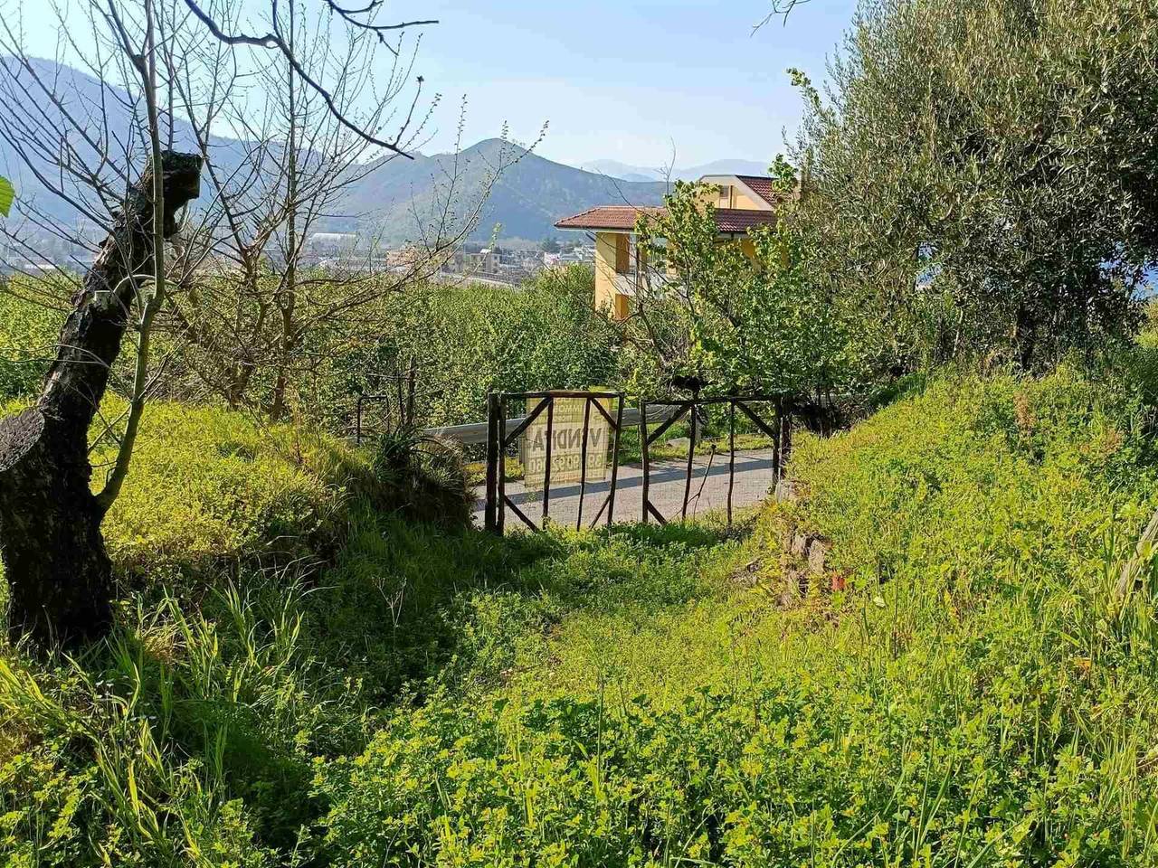 immagine annuncio 4 di 9