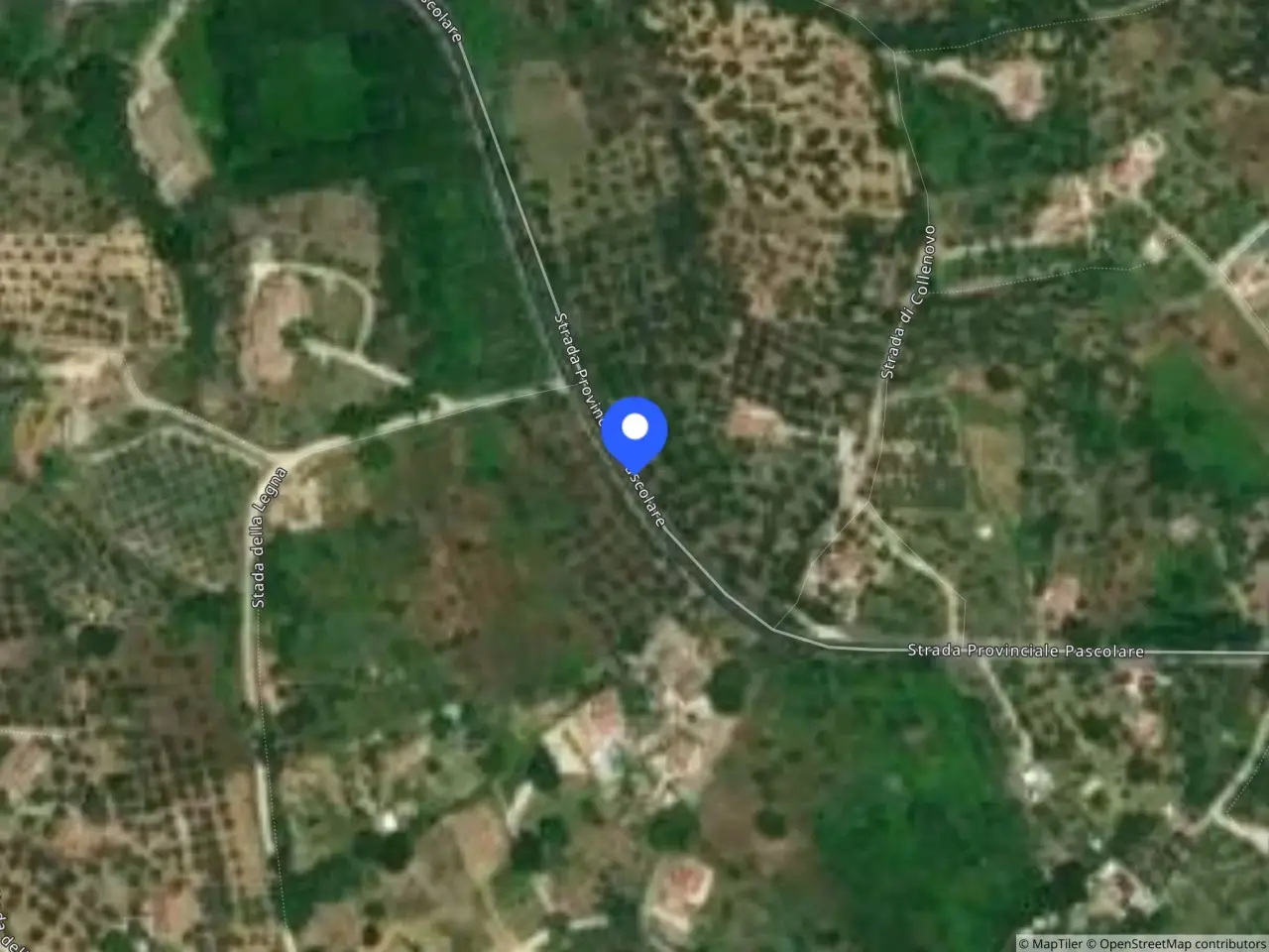 Magazzino in Strada Provinciale PascpòAre, 47 47, Palombara Sabina, {3} - Foto 1