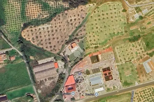 insertion image