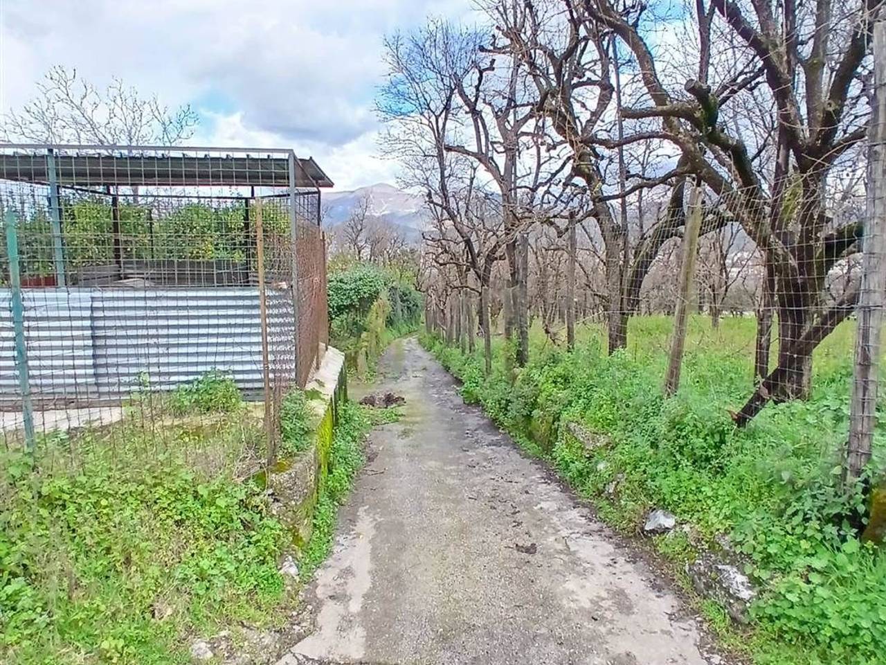immagine annuncio 8 di 11