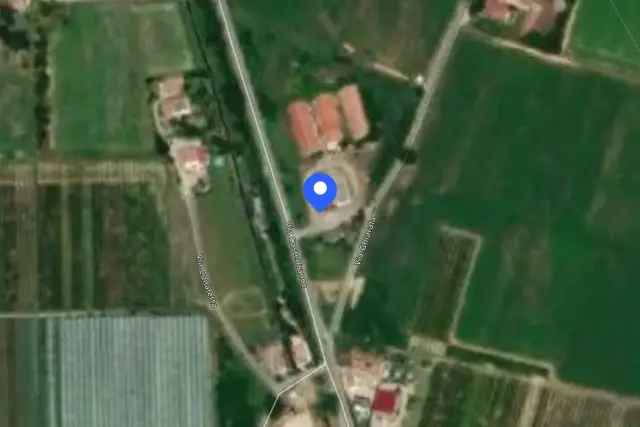 insertion image
