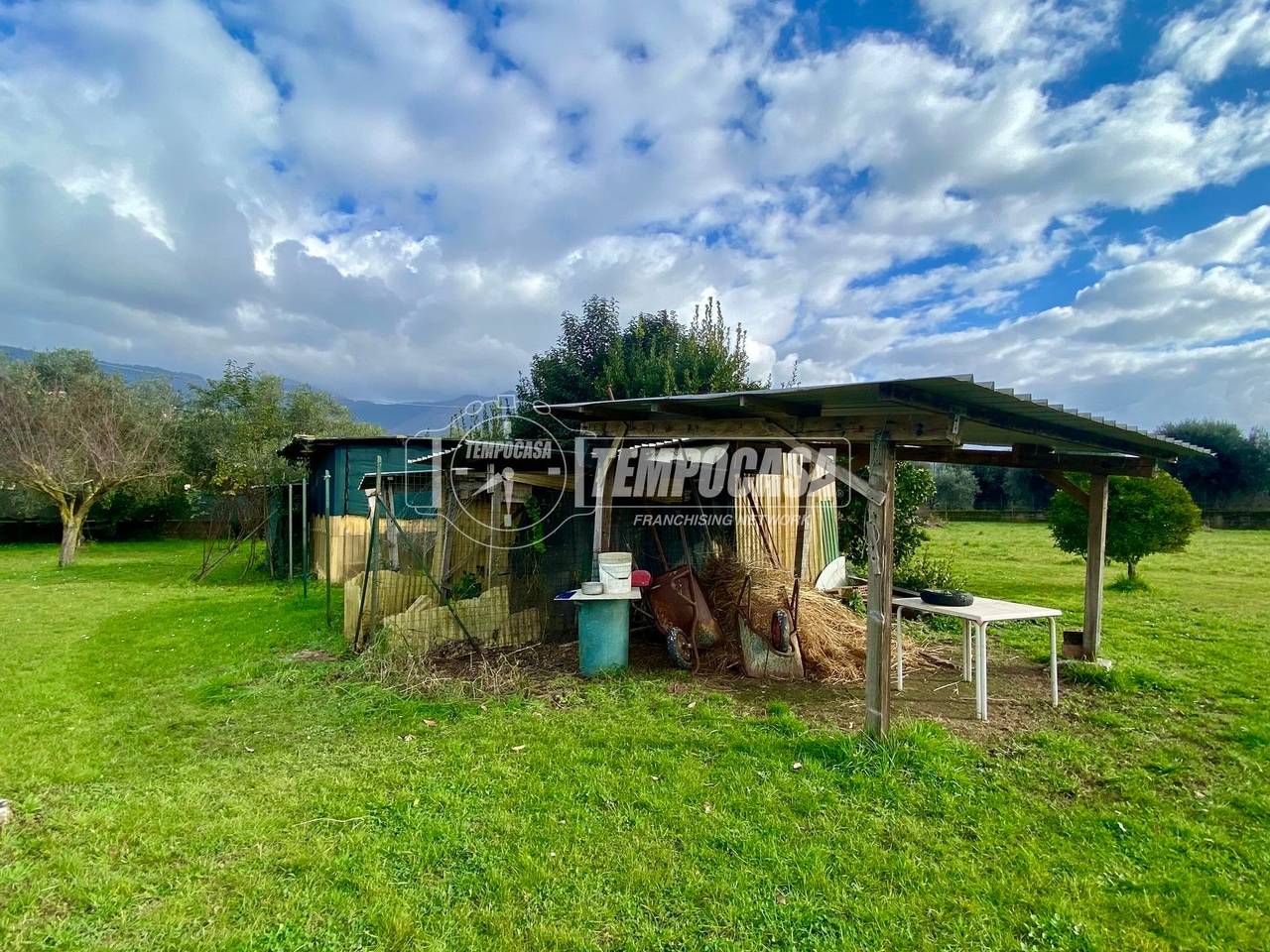 immagine annuncio 8 di 15