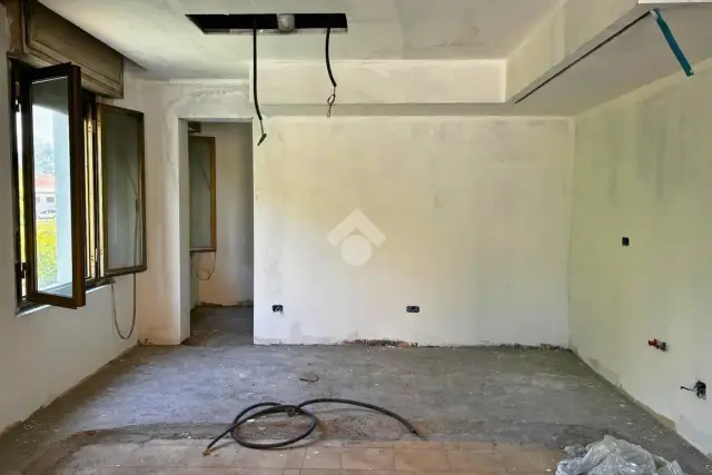 insertion image
