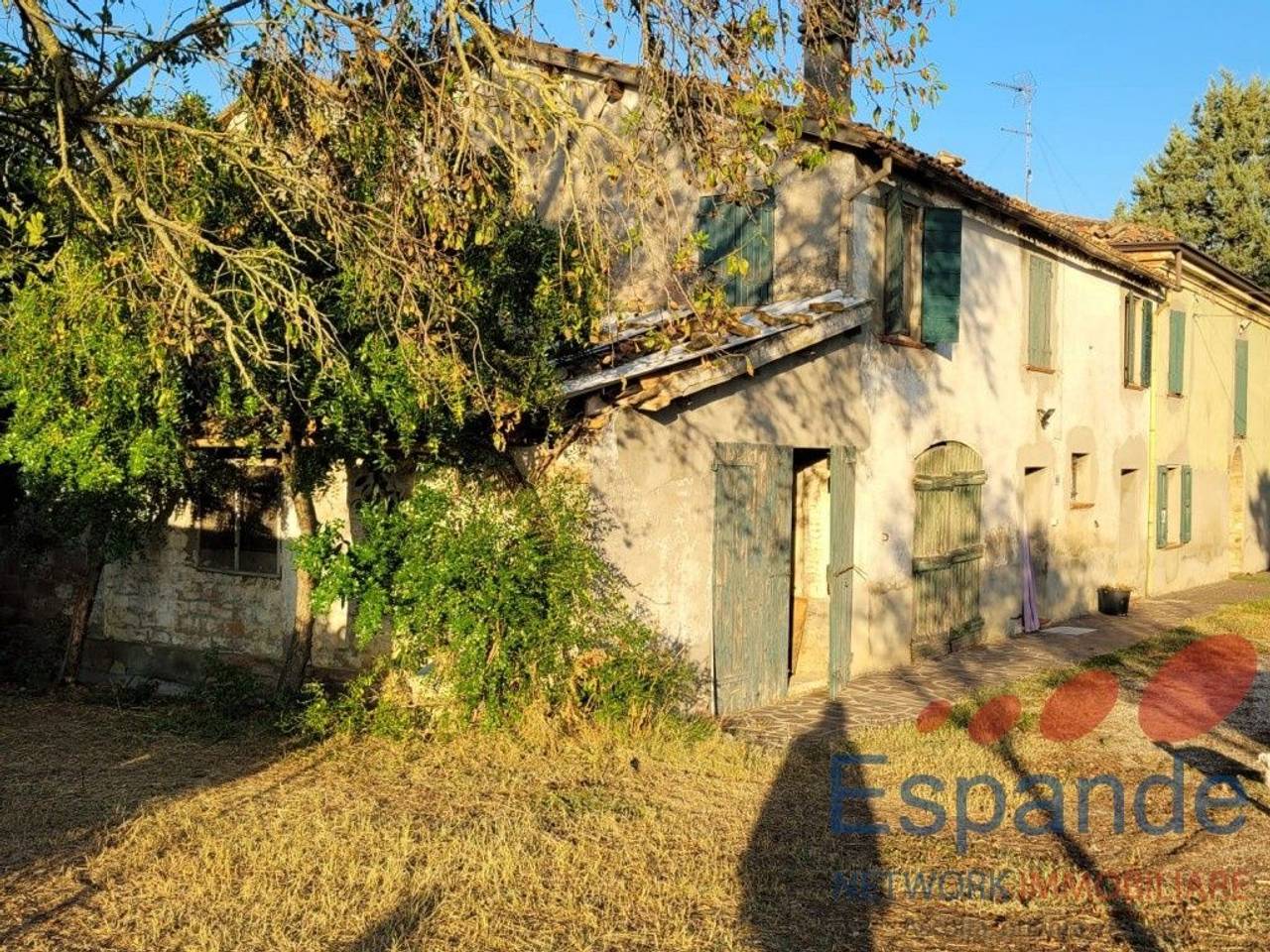 immagine annuncio 3 di 12