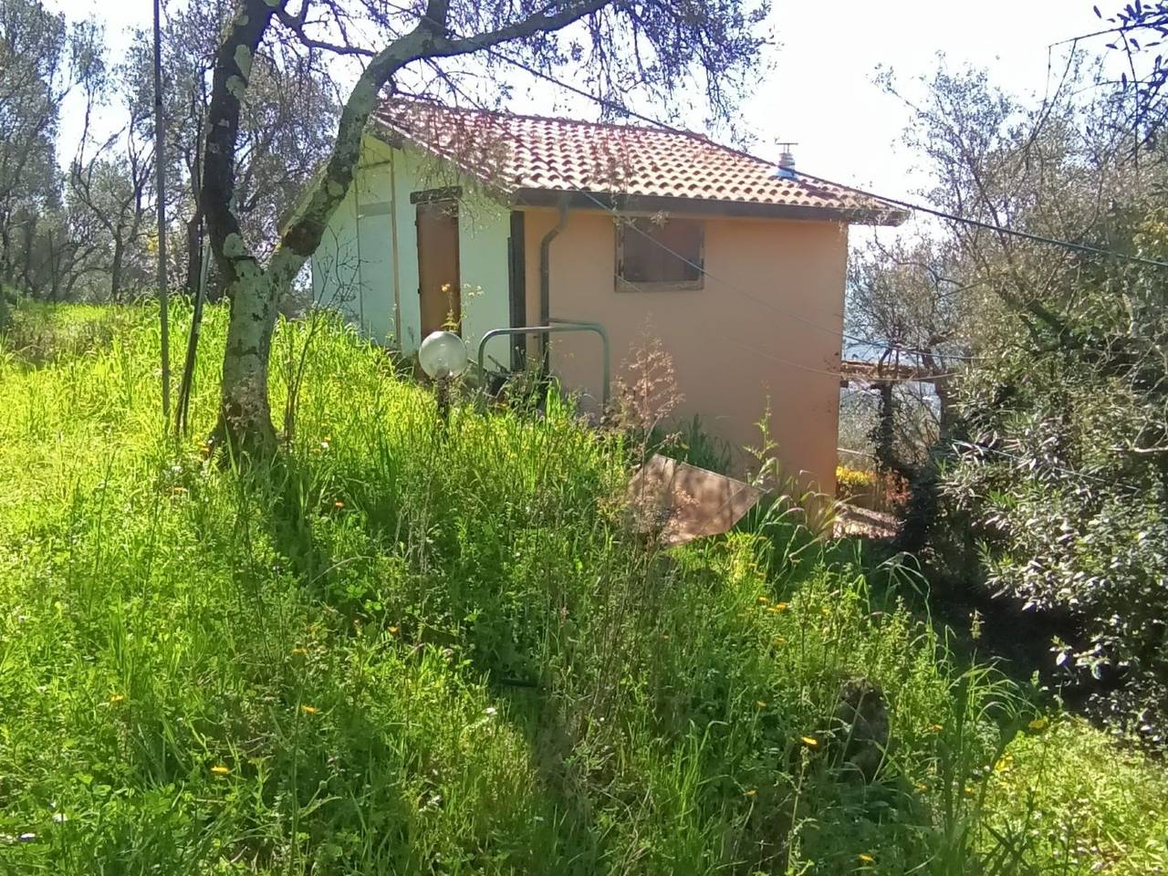 immagine annuncio 5 di 15